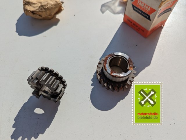 PXL_20240523_151829613